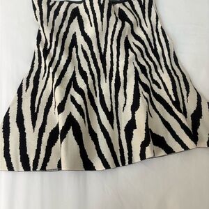 H&M Black and White Zebra A-Line Skirt